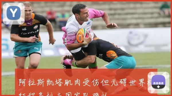阿拉斯凯塔肌肉受伤但无碍世界杯征程乌拉圭国家队确认